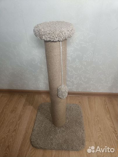 Когтеточка