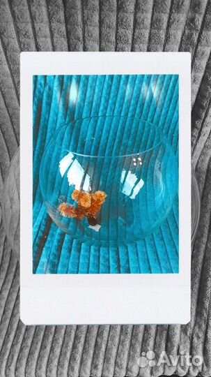 Фильтр для аквариума, аквариум