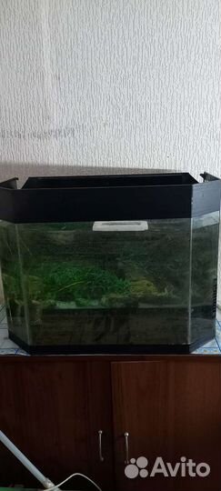 Аквариум