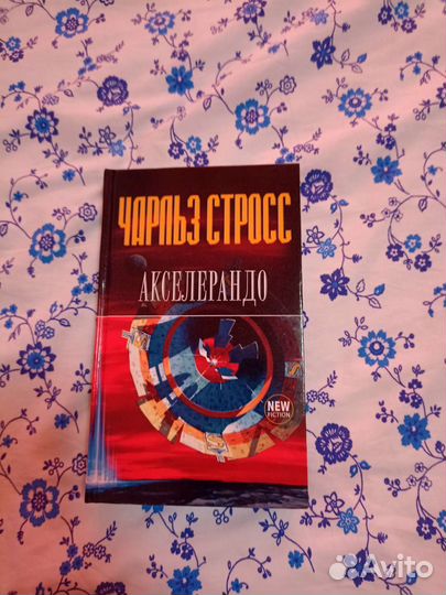 Чарльз Стросс. Акселерандо