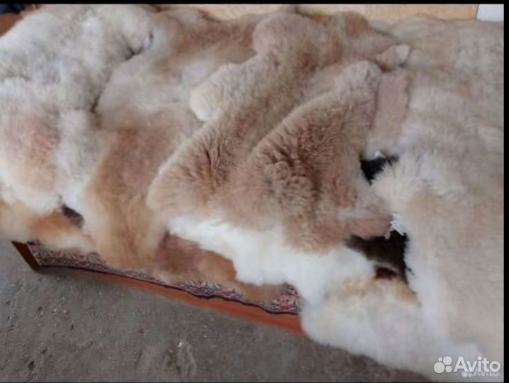 Овечья шкура натуральная в Москве