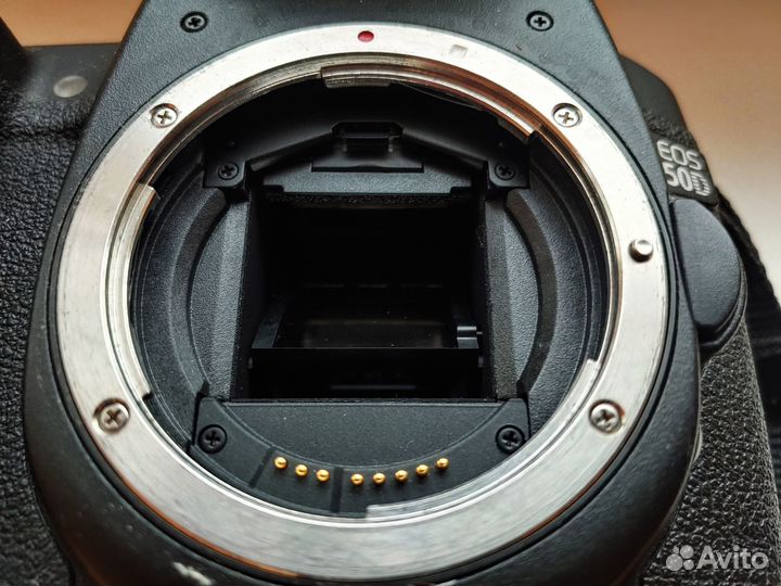Canon EOS 50D + куча плюшек