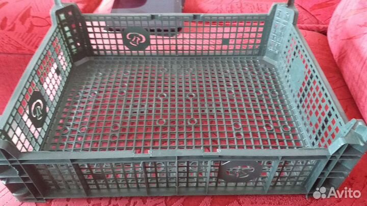 Ящики грибные