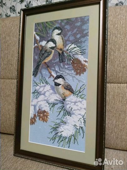 Синички зимой