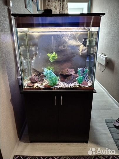 Аквариум