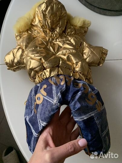 Одежда для маленьких собак