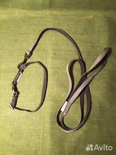 Поводки и ошейники для собак