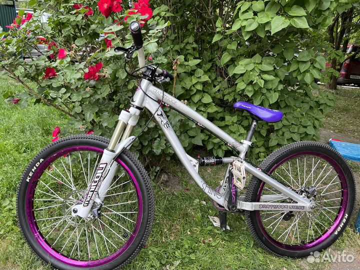 Dartmoor shine 2011 (12 ростовка)