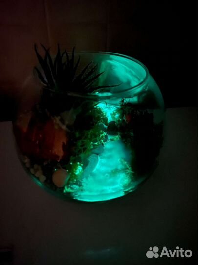 Флорариум подарок