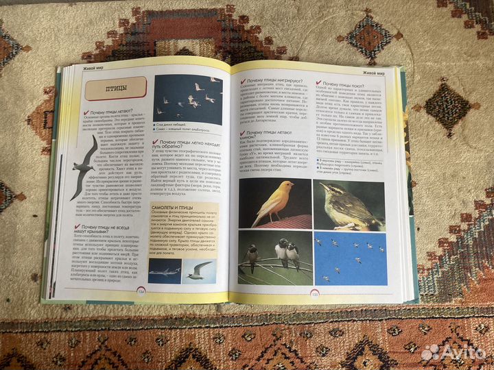 Детская энциклопедия «Хочешь знать почему»