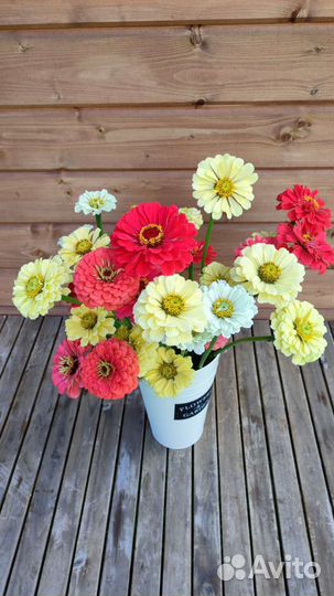 Букет на первое сентября