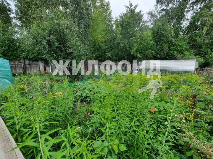 Участок 3,6 сот. (СНТ, ДНП)