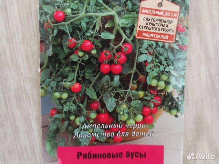 Рассада помидор для выращивания дома на окошке