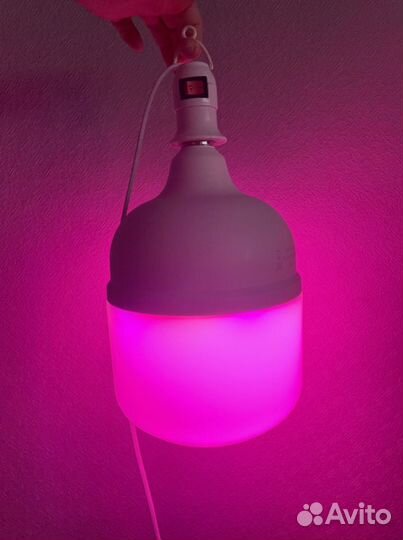 Фитолампа для растений