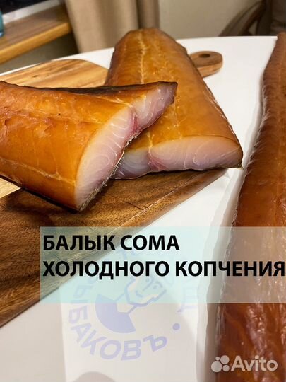 Балык сома и вобла