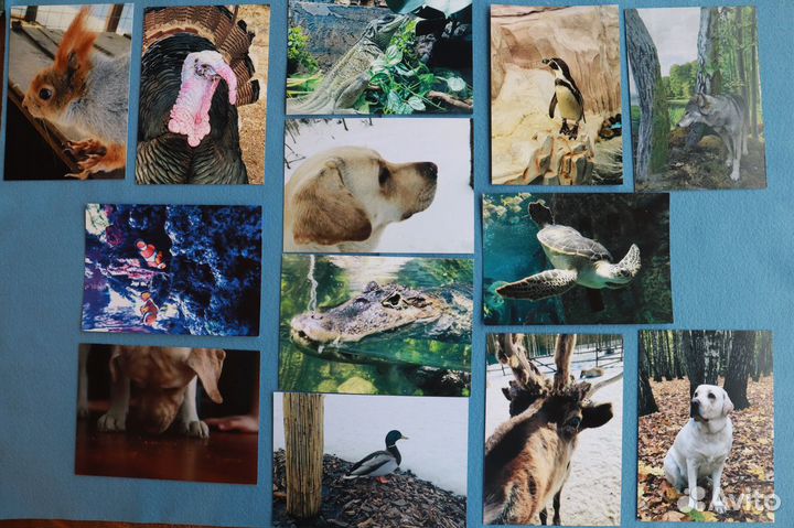 Наборы почтовых открыток