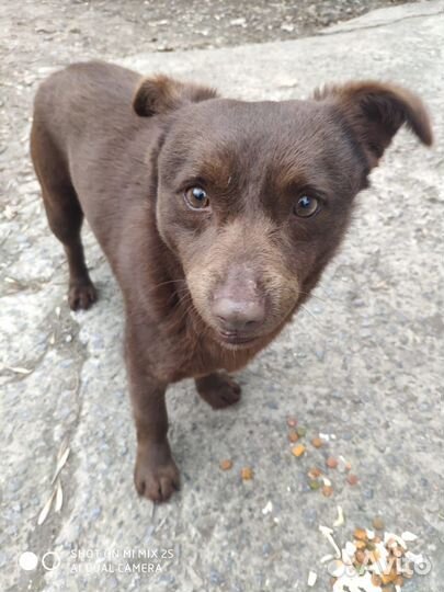 Молоденький маленький мальчик