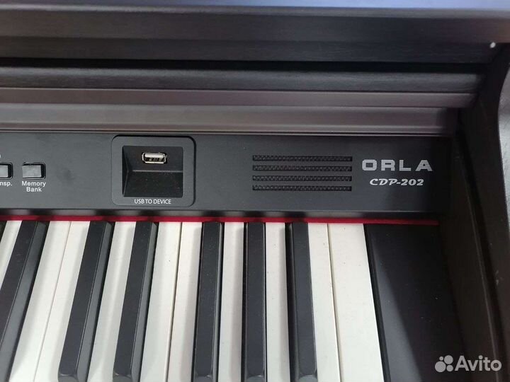 Цифровое пианино orla CDP-202 (после ремонта)