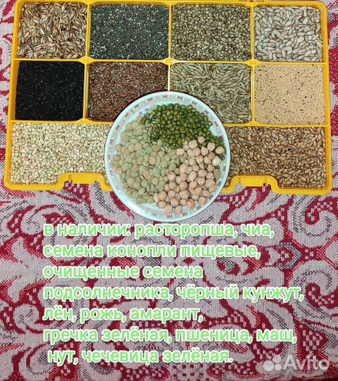 Зеленая гречка (правильное питание)