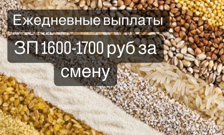 Укладчик упаковщик