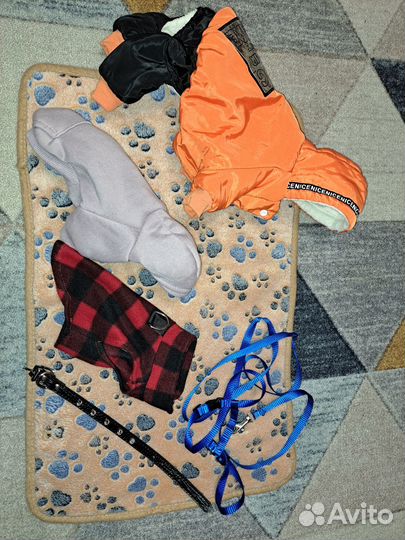 Одежда и переноска для щенка