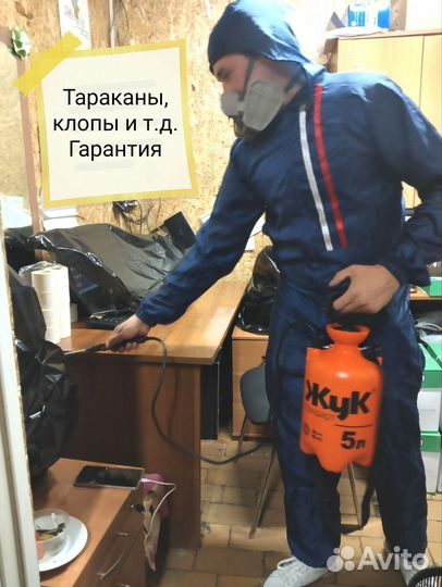 Уничтожение тараканов, клопов, и т.д