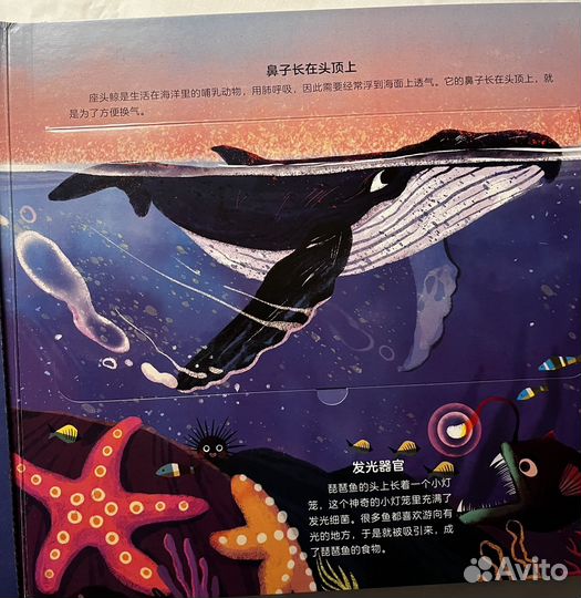 2 книги для детей па китайском языке