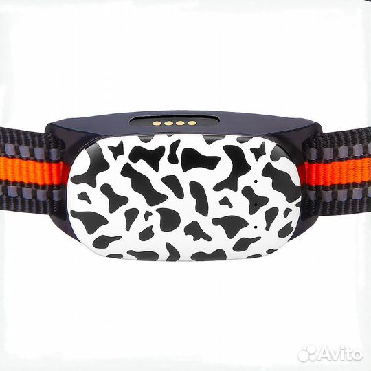 GPS для животных