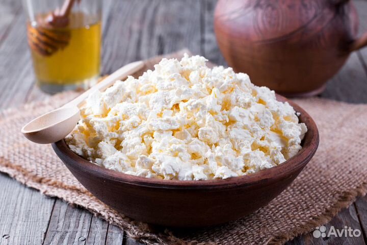 Творог Оптом