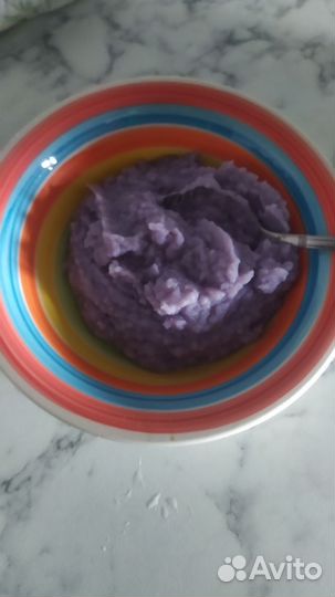 Картофель фиолетовый