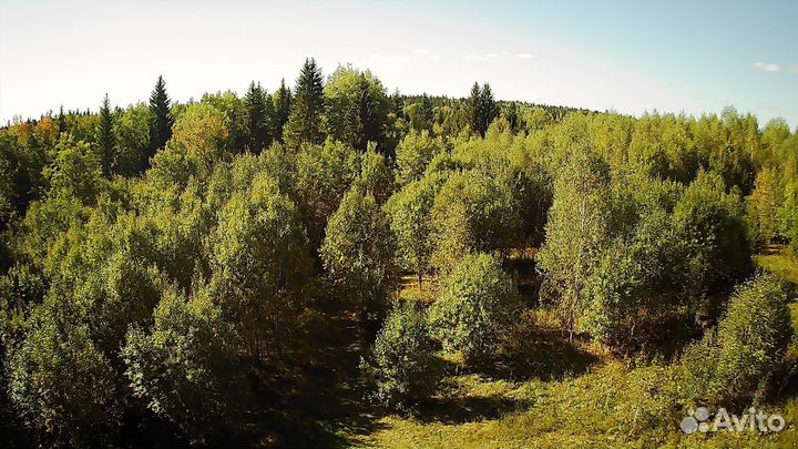 Квадрокоптер