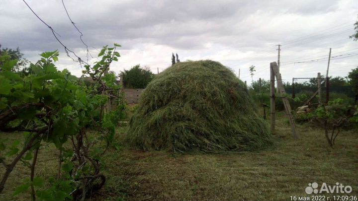 Сено в тюках