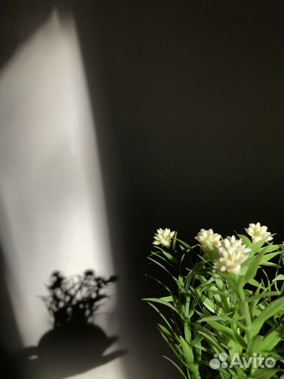 Фейка - трава в кашпо