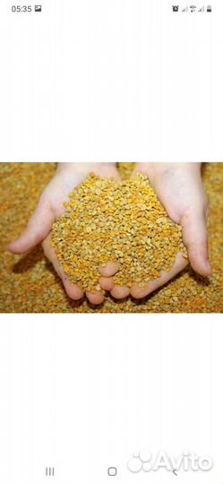 Пыльца пчелиная