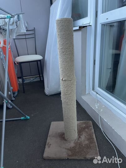 Когтеточка для кошки