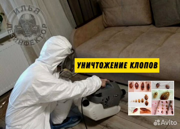 Уничтожение тараканов клопов дезинфекция