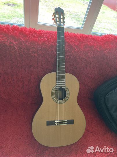 Гитара 6 струн Dowina Woody Series CL 999