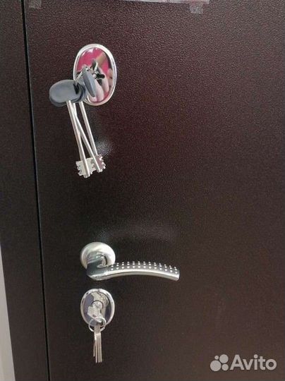 Дверь металлическая Титан м/м