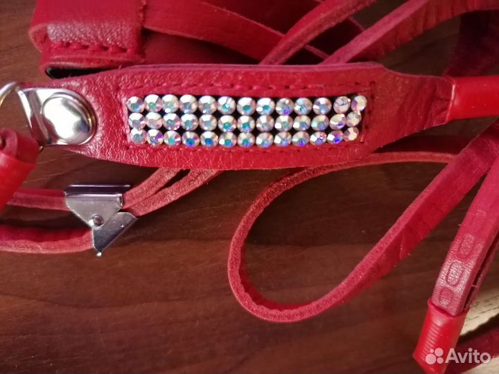 Ринговка для мелких собак ошейник