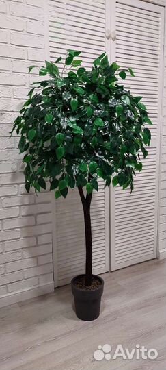 Искусственный фикус