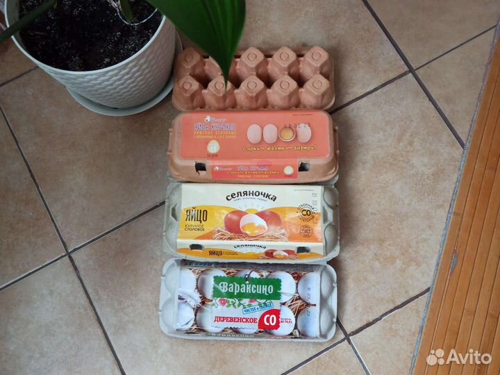 Ячейки от яиц лотки кассеты много