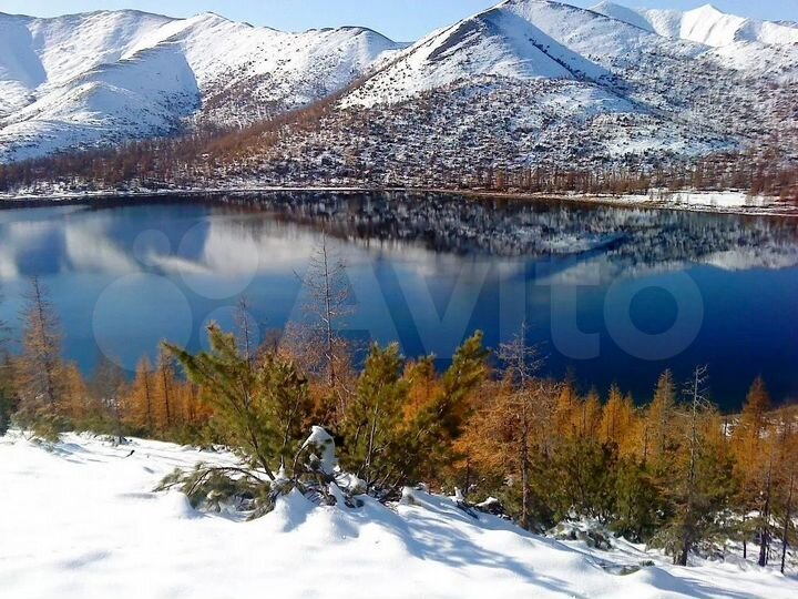 Участок 165121 га (СНТ, ДНП)