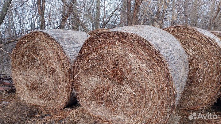 Гречневая солома + сено