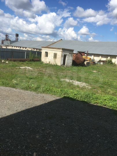 Участок 50 сот. (промназначения)