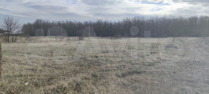 Участок 28,8 сот. (ИЖС)