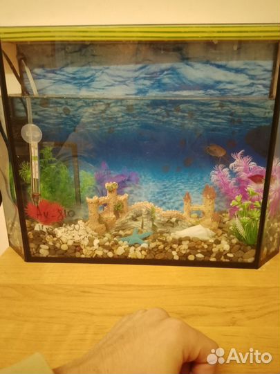 Аквариум