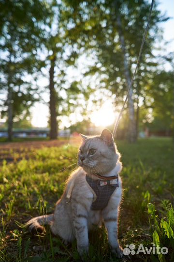Фотограф для вашего праздника