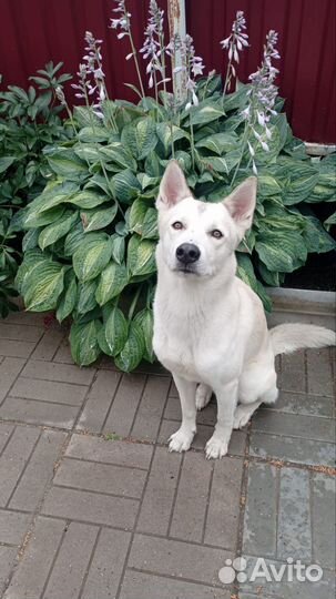 Кабель для вязки