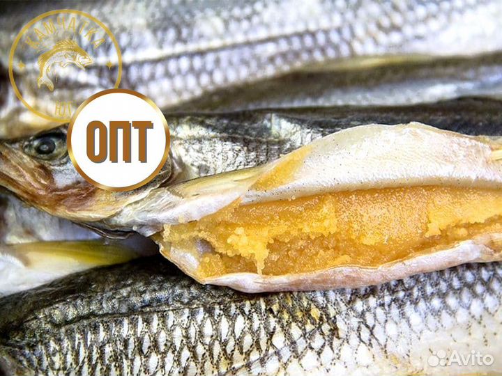 Корюшка вяленая оптом