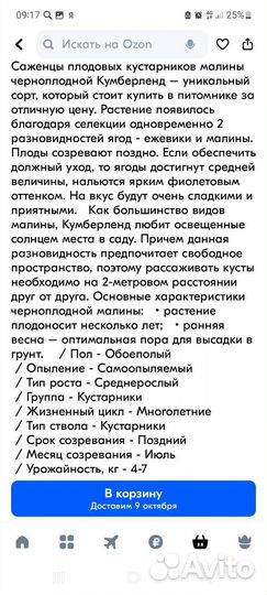 Саженцы малины,черной смородины,ежемалины